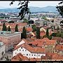 IMG_0120+.jpg