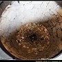 IMG_0217＋.jpg