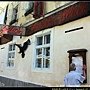 IMG_0269＋.jpg