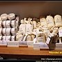 IMG_0294+.jpg