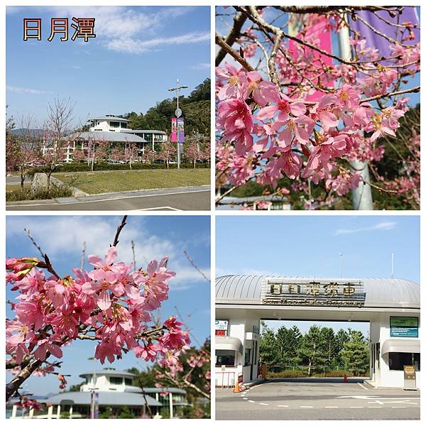 2015南投日月潭台中燈會 009.jpg