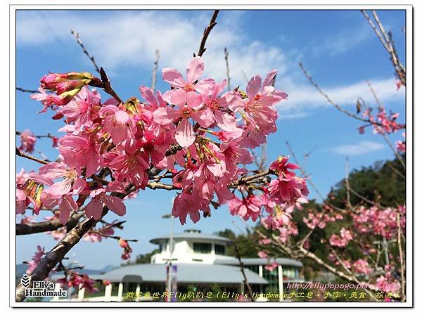2015南投日月潭台中燈會 005.jpg