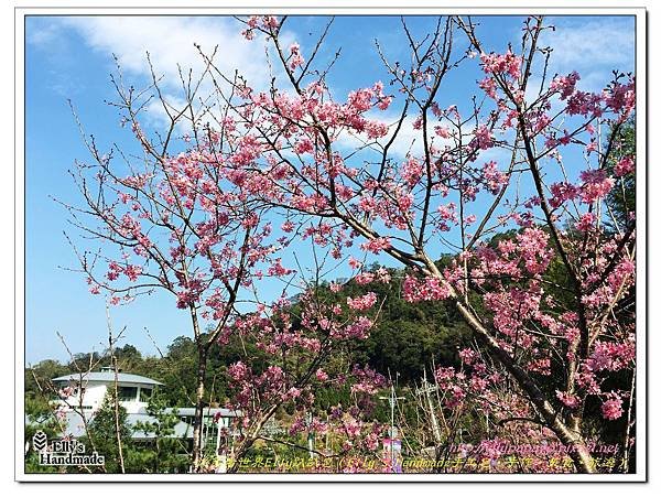 2015南投日月潭台中燈會 006.jpg
