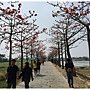 IMG_2894