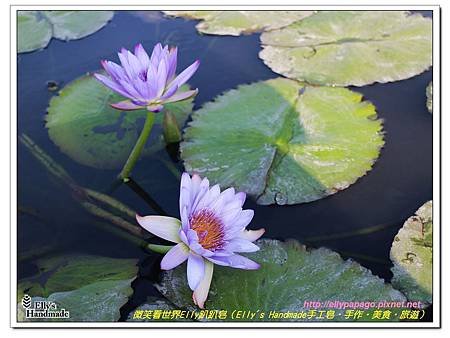 IMG_7193＋.jpg