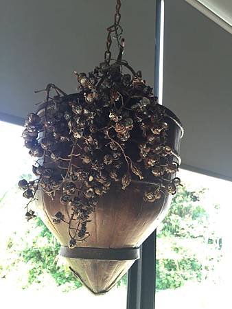 IMG_9859.JPG