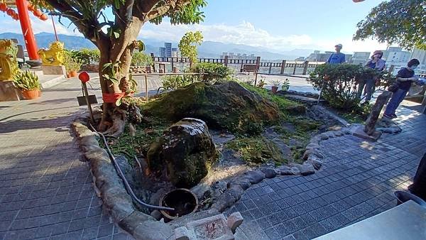 IMG_3986.JPG