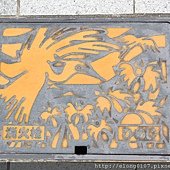 IMG_4954.JPG