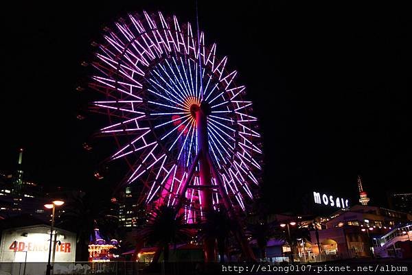 IMG_5165.JPG