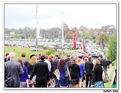 Melbourne Cup (3)