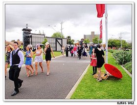 Melbourne Cup (8)