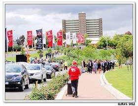 Melbourne Cup (16)