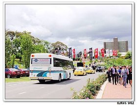 Melbourne Cup (18)