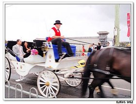 Melbourne Cup (29)