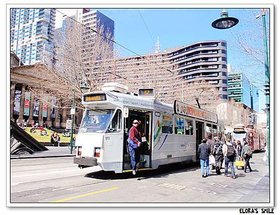 State Library of Victoria (2)