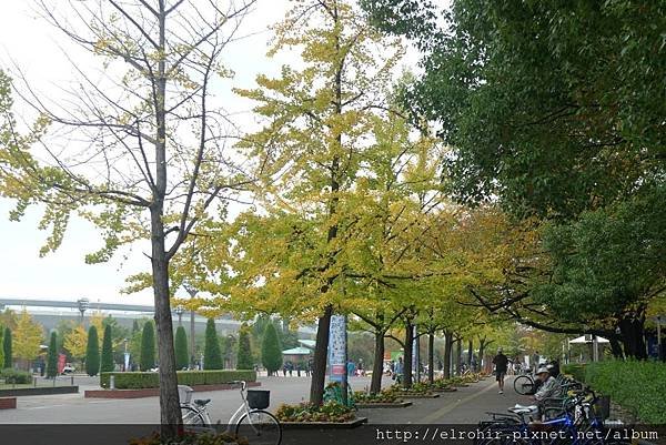 P1170405.JPG