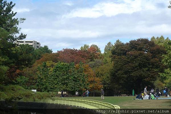 P1170474.JPG