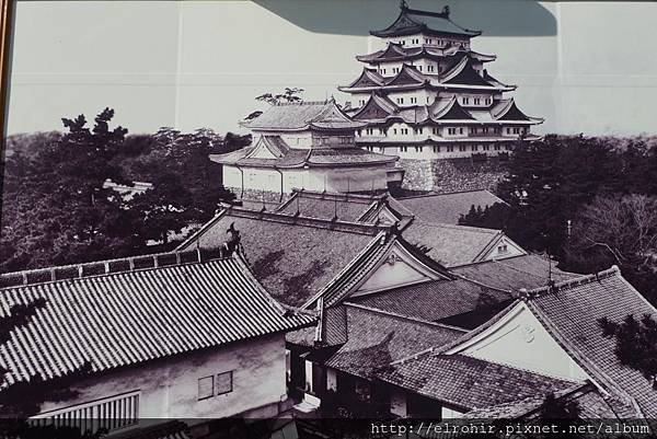 P1040045.JPG