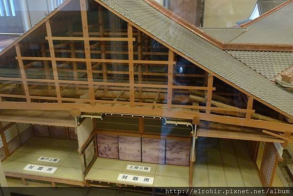 P1040114.JPG