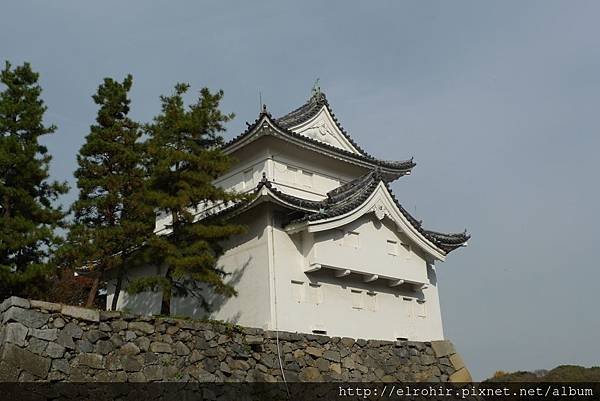 P1040185.JPG