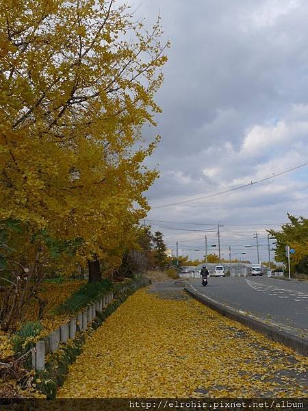 P1040575.JPG