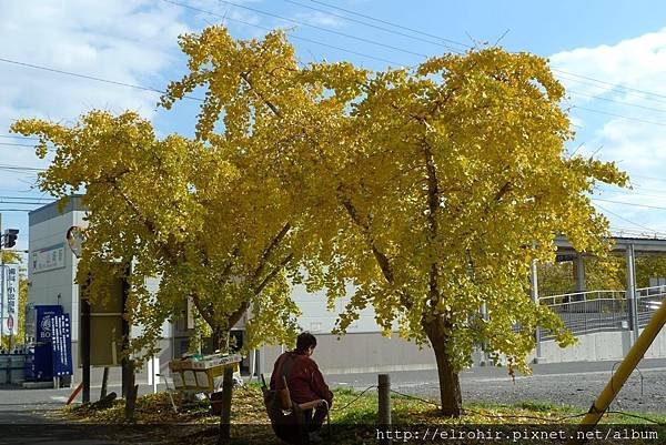 P1040608.JPG