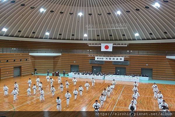 P1180864.JPG