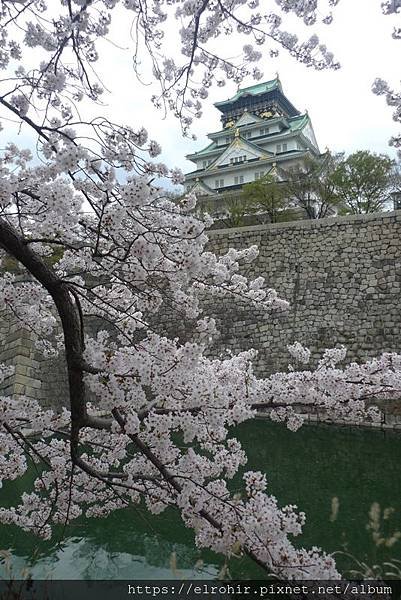 P1210815.JPG