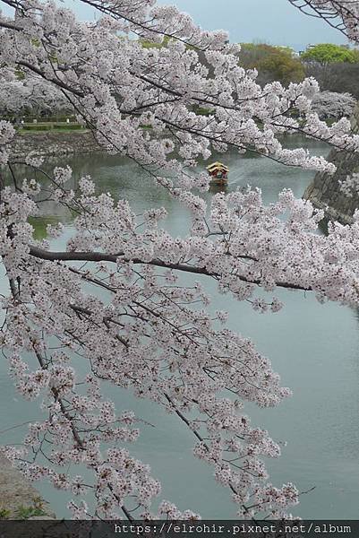 P1210800.JPG