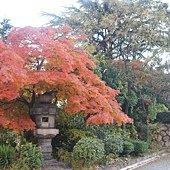DSC04741.JPG