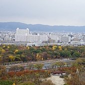 DSC04772.JPG
