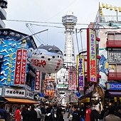 DSC04782.JPG
