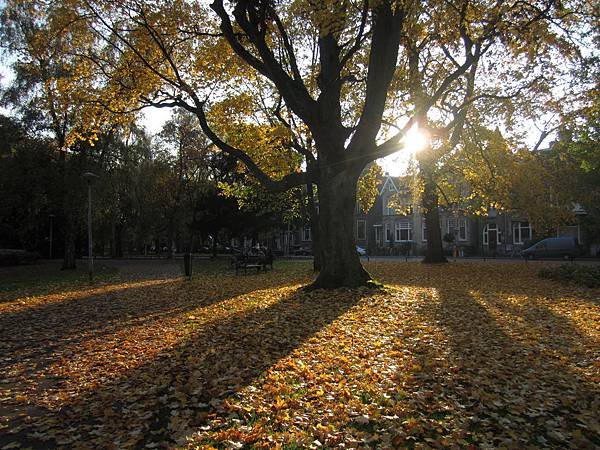 Wilhelminapark