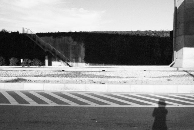 R0016509.JPG