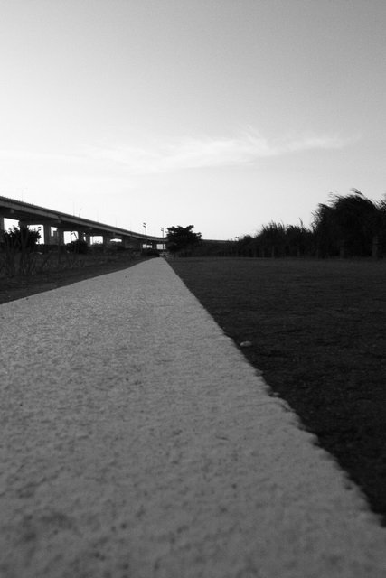 R0016524.JPG