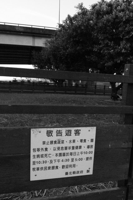 R0016550.JPG