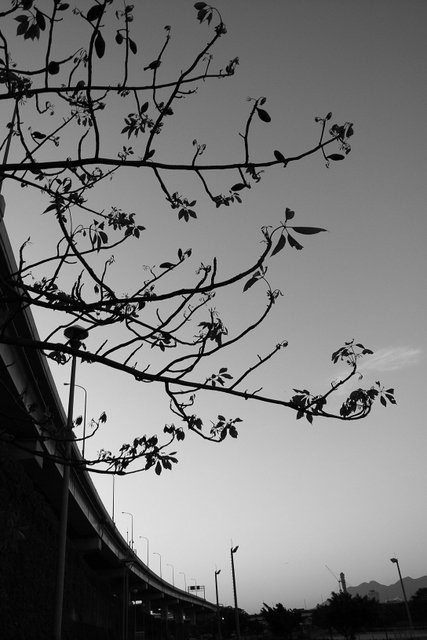 R0016572.JPG