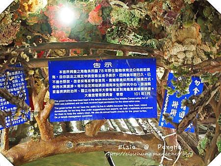 P8056796_副本