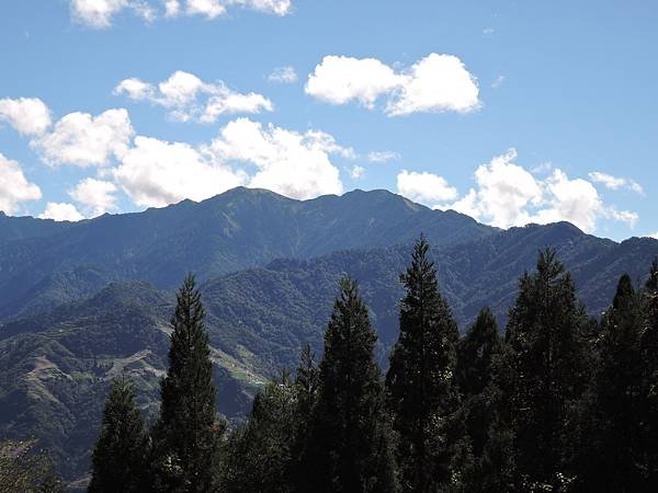 DSCN0171