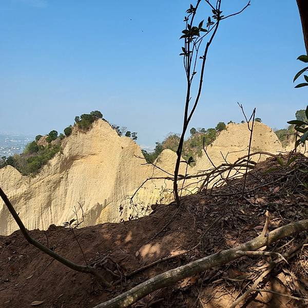 228爬苗栗火炎山，慶功宴新月梧桐