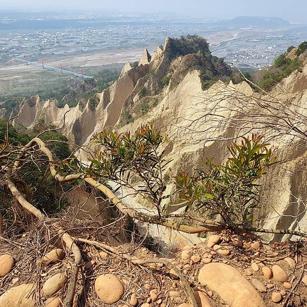 228爬苗栗火炎山，慶功宴新月梧桐