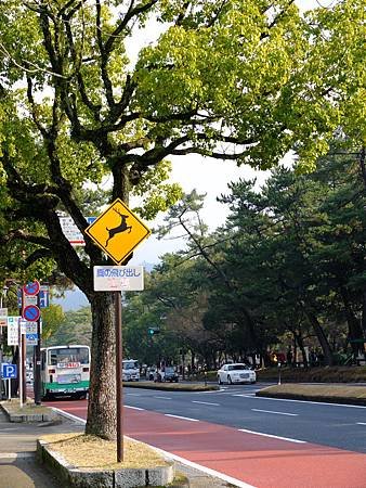 DSCF6568.JPG
