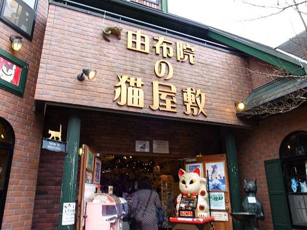 R0019859.JPG