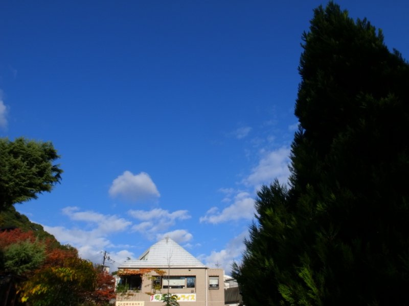 R0021704.JPG
