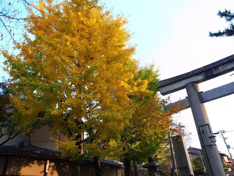 R0022836.JPG