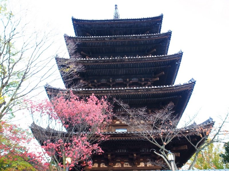 R0022848.JPG