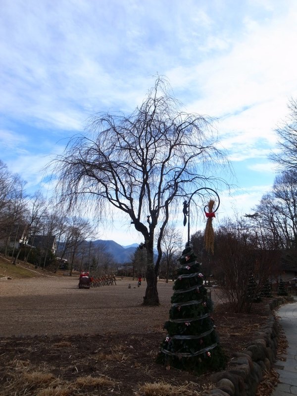 R0030448.JPG