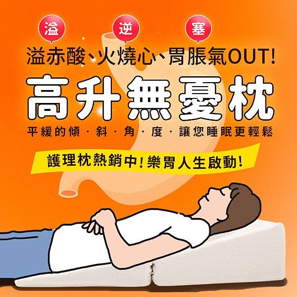 1000-胃食道逆流枕.jpg