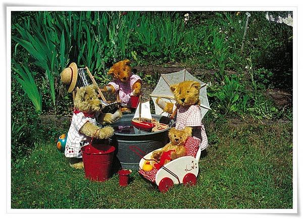 teddy picnic