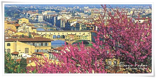 Firenze Panorama